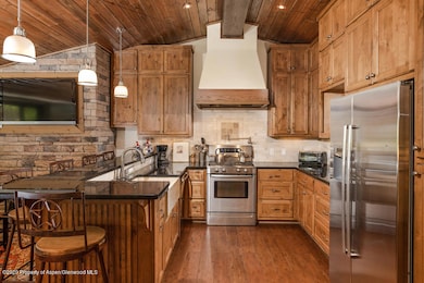 718 S Mill St unit 4, Aspen, CO 81611 - photo 6