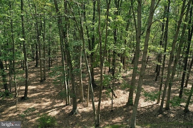 0 Walnut Ridge Rd SE unit MDAL2011226, Oldtown, MD 21555 - photo 2