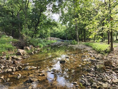 9551 C-Highway Ff, Mountain Grove, MO 65711 - photo 5