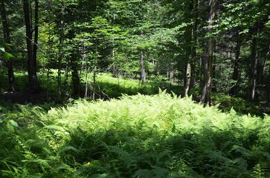 50 Barnett Rd, Fairfax, VT 05454 - photo 2