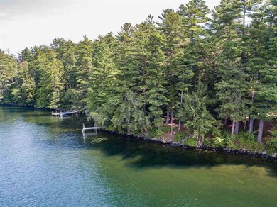 00 Newman, Center Harbor, NH 03226 - photo 5