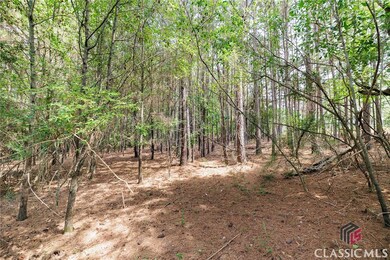 0 Wellbrook Rd unit 1020852, Watkinsville, GA 30677 - photo 7