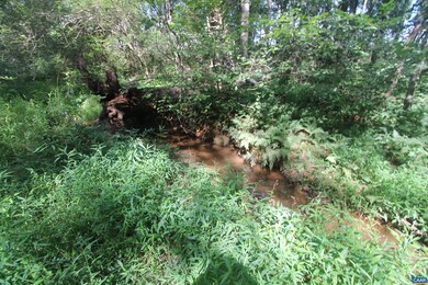 0 Seminole Trail unit 669157, Rochelle, VA 22738 - photo 6