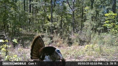 0 Hulsey Prairie unit 2524853, Panola, OK 74559 - photo 6