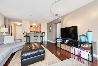 Gold Coast Galleria unit 703, Chicago, IL 60610 - photo 7