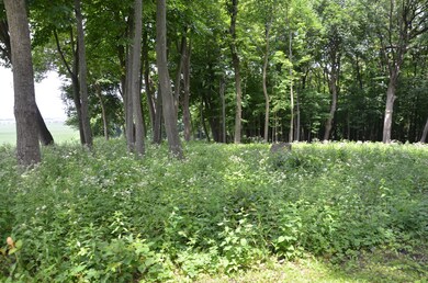 5171 Reservation Rd, Oswego, IL 60543 - photo 2