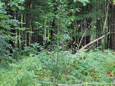 0 Irish Rd unit 28823, Venango Township, PA 16412 - photo 4