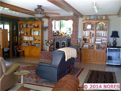 Living features wood burning fireplace w/ blower t