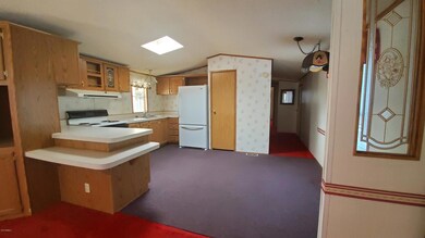 Cactus wren kitchen 2