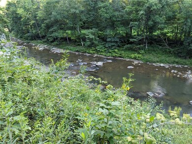 165 Riverdale Dr, Burnsville, NC 28714 - photo 6