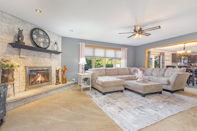 22125 Jasmine Dr, Frankfort, IL 60423 - photo 4