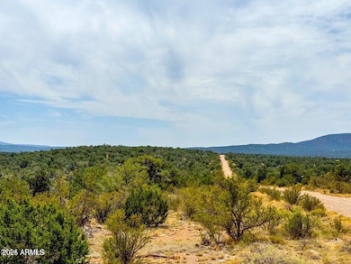 TBD Waterloo Way 1 83 Acres --, Seligman, AZ 86337 - photo 2