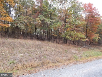 29A Holly Hill Ln, Berkeley Springs, WV 25411 - photo 5