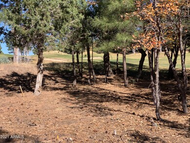 Mature Trees
