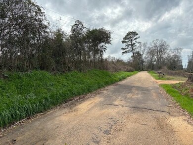 43443 Jackson Brumfield Rd, Franklinton, LA 70438 - photo 6