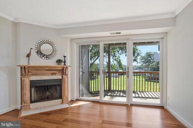 7002 Channel Village Ct unit 101, Annapolis, MD 21403 - photo 6