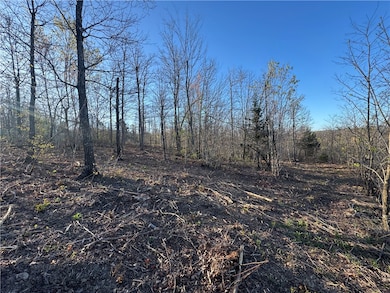 Tract 1 Nc 8374 Rd, Jasper, AR 72641 - photo 3