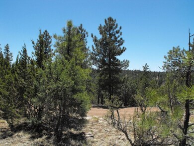 118 Lookout view 5x