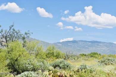 Coyote Creek