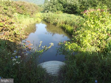 0 Schell Rd unit 1004428061, Elk Garden, WV 26717 - photo 3