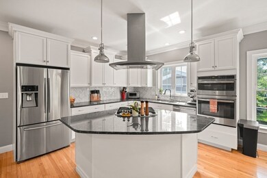 133 Chestnut St unit 2, Brookline, MA 02445 - photo 5