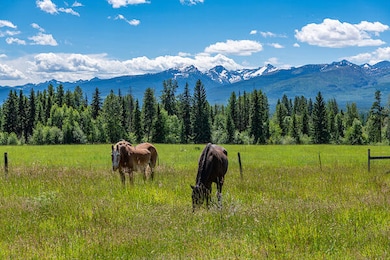 20200713D850_DSC4767