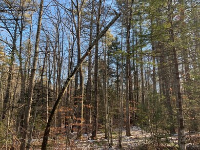 North border