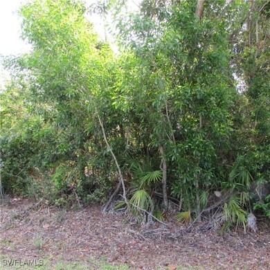 12348 Dolphin Rd, Pine Island Center, FL 33922 - photo 6