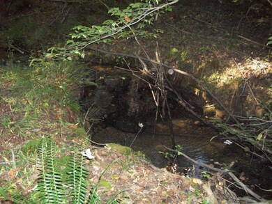 pretty stream of water running on property