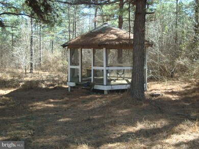 0 Governors Point Ln unit 1000184063, Unionville, VA 22567 - photo 4