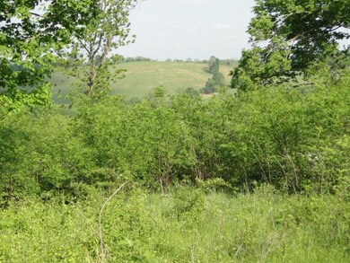 0 Goose Creek Rd, Shelbyville, TN 37160 - photo 5