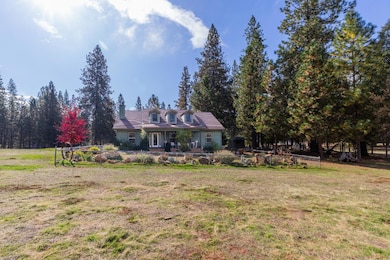 10070 Swiss Ranch Rd, Mountain Ranch, CA 95246 - photo 4