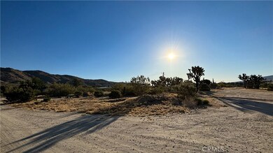 771 Scarvan Rd, Yucca Valley, CA 92284 - photo 6