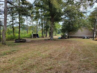 Side View of Back Yard