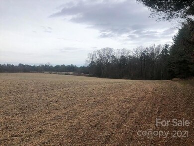 0000 Sugarloaf Rd, Hendersonville, NC 28792 - photo 5