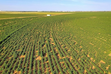 1736 C R 5500, Lubbock, TX 79403 - photo 4