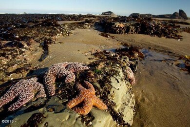 86 SW Anemone Ave, Lincoln City, OR 97367 - photo 5