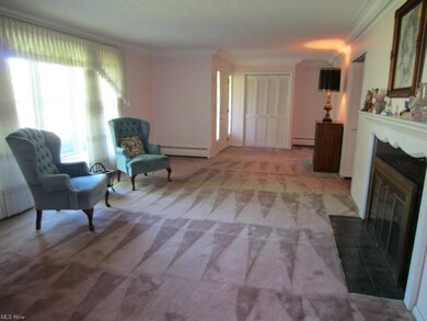 28 x 13 living room with fireplace with custom des