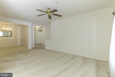 1011 Samantha Ln unit 5-203, Odenton, MD 21113 - photo 7