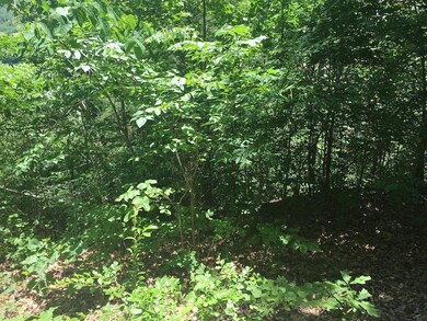 0 Hurricane Creek unit RTC1835434, Linden, TN 37096 - photo 5