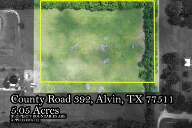 0 County Road 392, Alvin, TX 77511 - photo 4