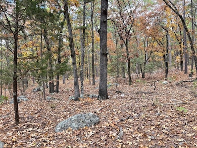 Unit 156 Rd, Moyers, OK 74523 - photo 3