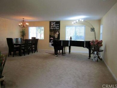 Large Living Room
