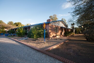 Easy Care Yard