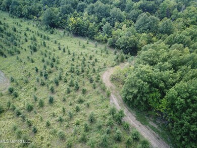 DJI_0043