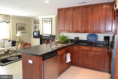 4800 Coyle Rd unit 309, Owings Mills, MD 21117 - photo 4
