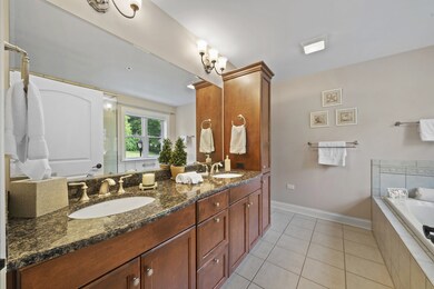 148 N Water St unit 203, Batavia, IL 60510 - photo 5