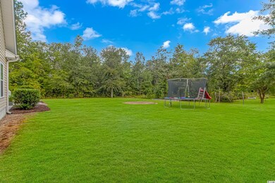 238 Cat Tail Bay Dr, Conway, SC 29527 - photo 7