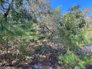 Lot 12 Susan St, Cedar Key, FL 32625 - photo 6