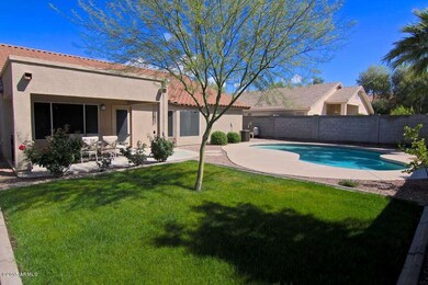 Backyard 2